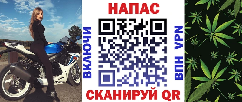 Бошки Шишки план  Тара 